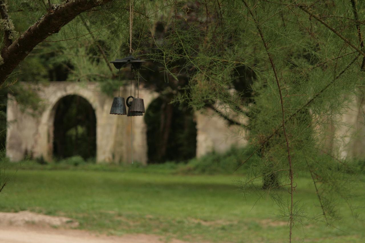 Domaine Des Douves Bed & Breakfast Ancy-le-Franc Dış mekan fotoğraf